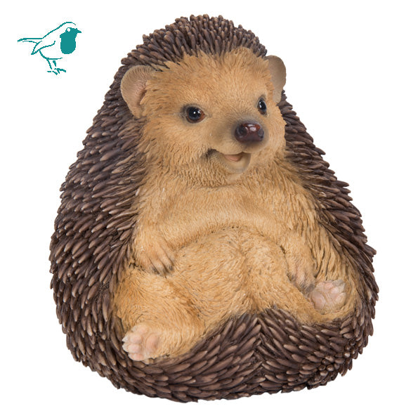 Sitting Baby Hedgehog F