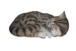 RL Sleeping Cat TABBY B