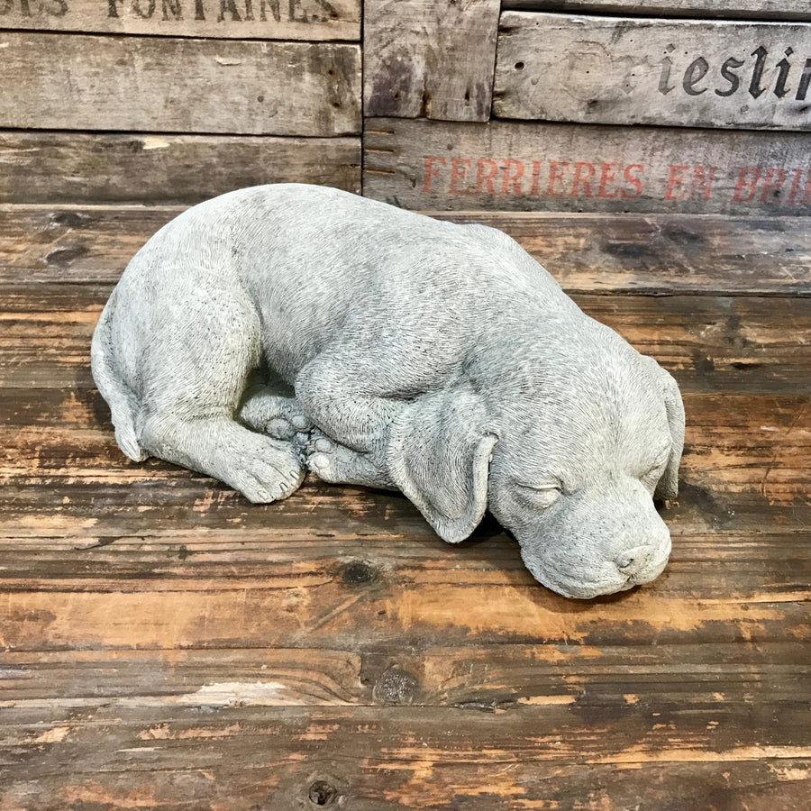 Snoozing Puppy - Garden Ornaments - Windyridge Garden Centre