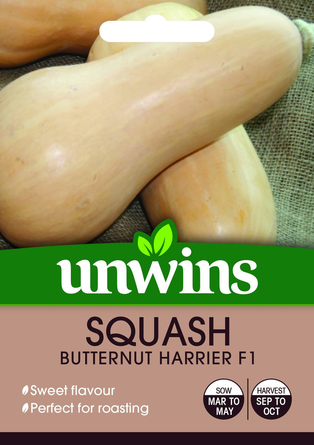 Squash Butternut Harrier F1