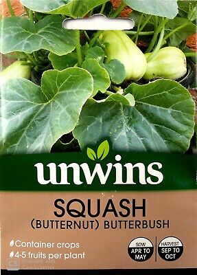 Squash (Butternut) Butterbush