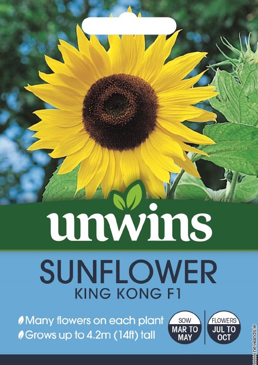 Sunflower King Kong F1