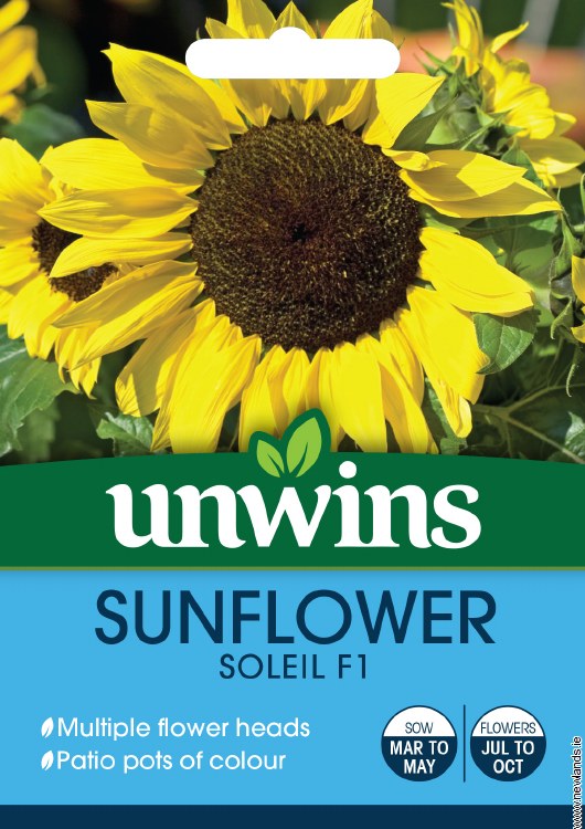 Sunflower Soleil F1
