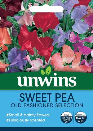 Sweet Pea Old Fashioned Mix - Seed Packets - Windyridge Garden Centre