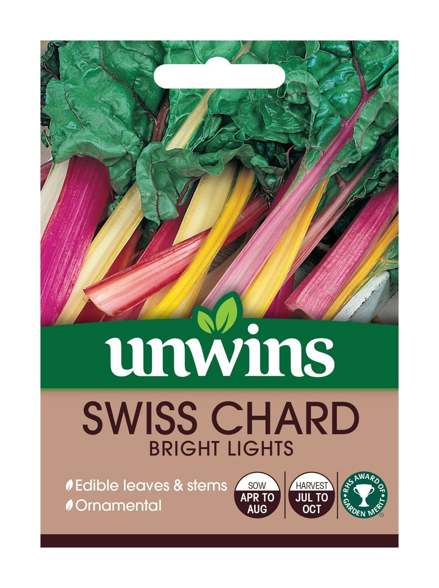 Swiss Chard Bright Lights