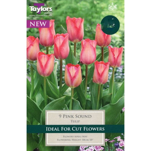TULIP PINK SOUND 8