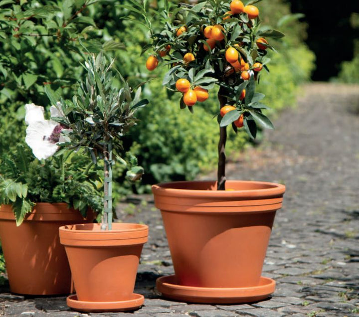 Traditional Terracotta Pot Ø44cm H35cm