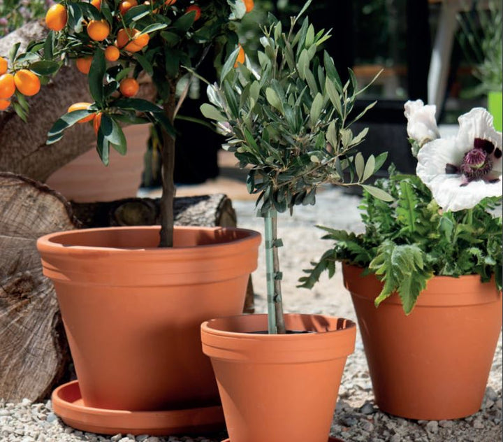 Traditional Terracotta Pot Ø45cm H35cm
