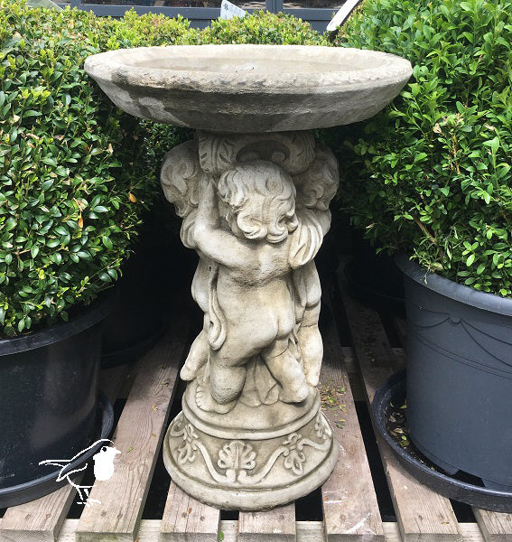 Triple Cherub - Bird Care And Wildlife - Windyridge Garden Centre
