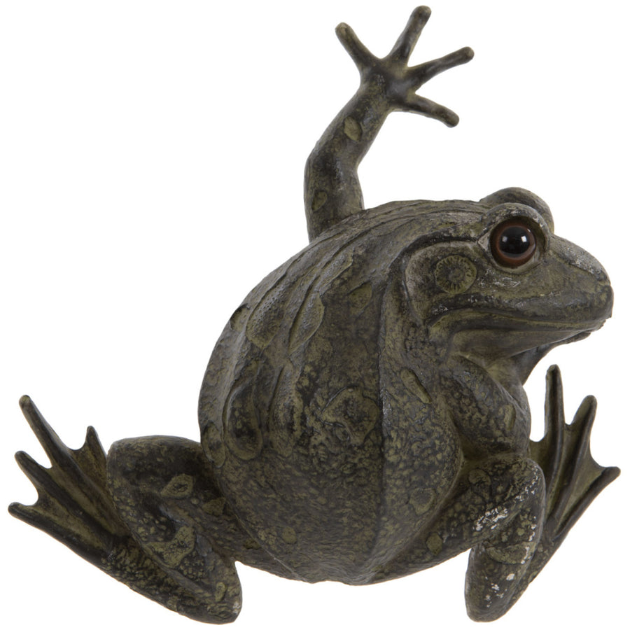 Wall Frog - Garden Ornaments - Windyridge Garden Centre