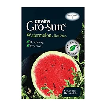 Watermelon Red Star F1