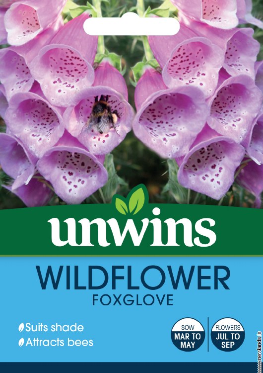 Wildflower Foxglove