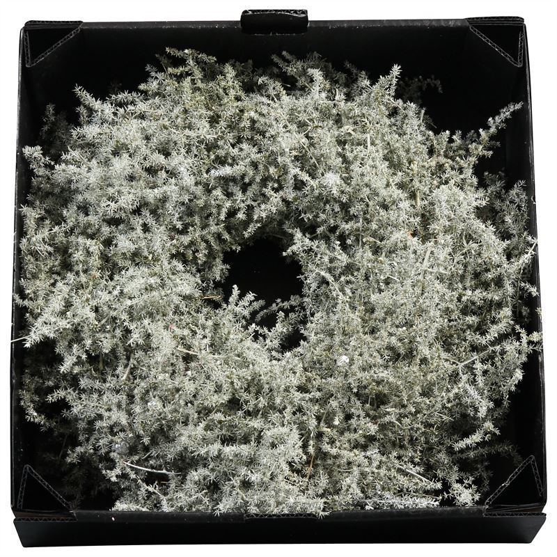 Wreath Asparagus D60Cm Antique Oliv - Christmas - Windyridge Garden Centre