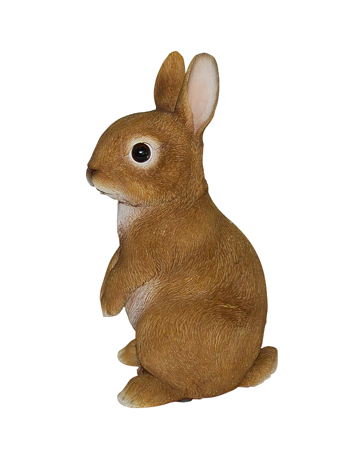 RL Young Rabbit E