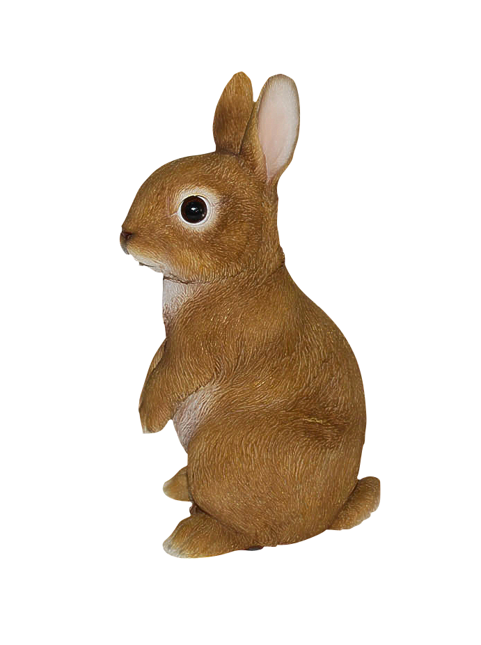 Baby Rabbit STANDING F