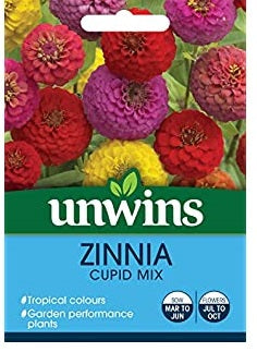 Zinnia Cupid Mix