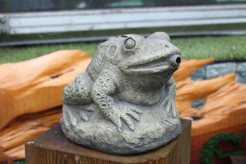 Aquatic Frog - Plumbed - Water Features - Windyridge Garden Centre