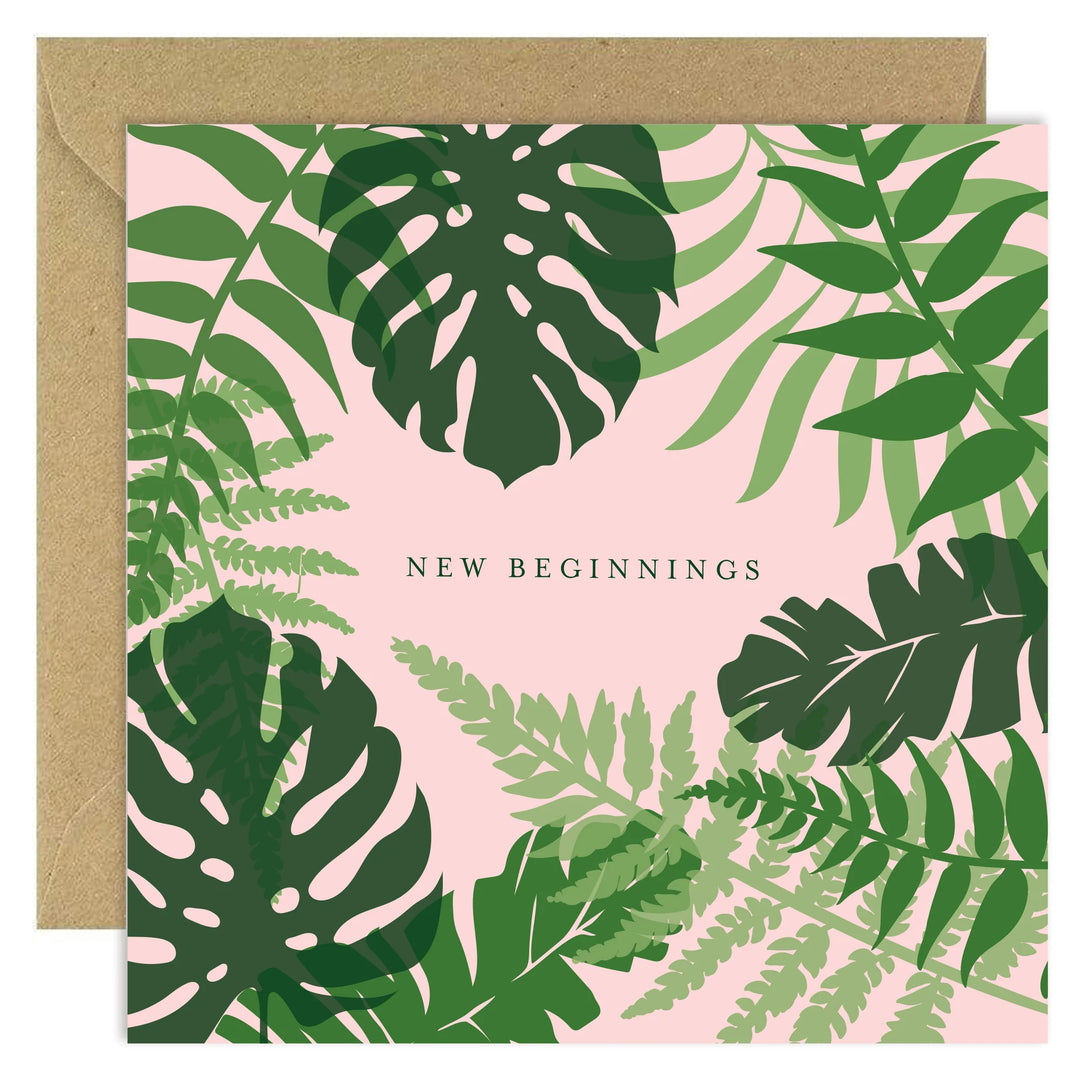 BBunny New Beginnings