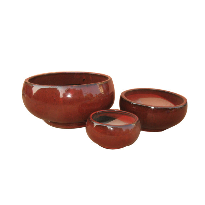 Belly Bowl 20X10Cm - Pots - Windyridge Garden Centre