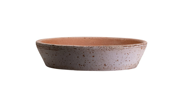 Bergs Rose, 18 Cm, Saucer - Pots - Windyridge Garden Centre