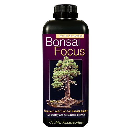 BONSAI FOCUS 100ML