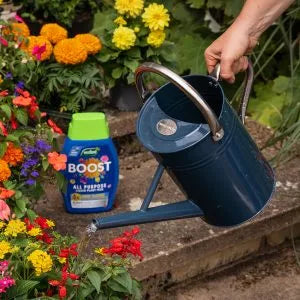 Westland BOOST All Purpose Liquid Plant Food 1Ltr