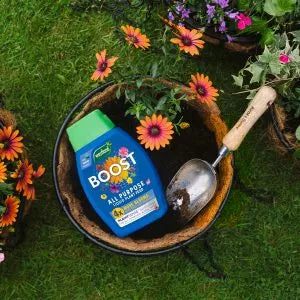 Westland BOOST All Purpose Liquid Plant Food 1Ltr
