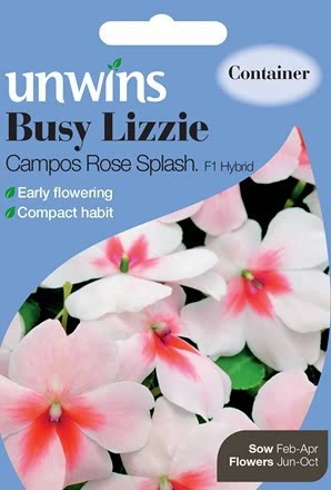 Busy Lizzie Campos Rose