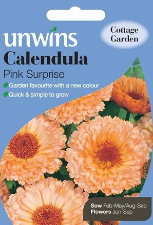 Calendula Pink Surprise
