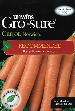 Carrot Norwich F1 (Recommended)