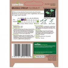 Brussels Sprouts Clodius F1