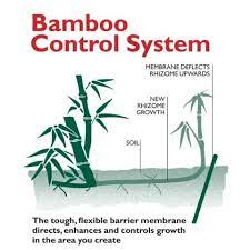 7m Bamboo Barrier