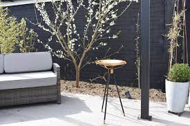 AURA Bird Bath