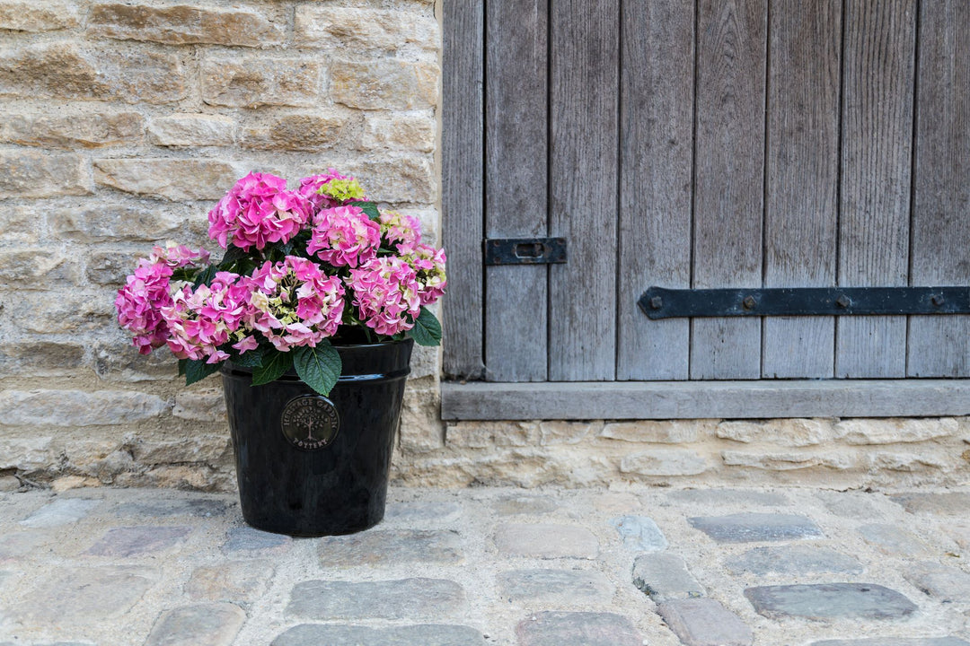 33CM BLACK HERITAGE POT