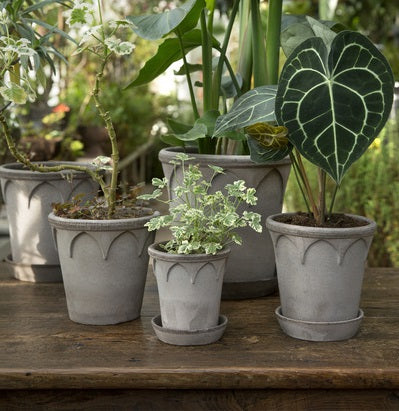 Bergs: Elizabeth Grey, 21 Cm, Pot With Saucer - Pots - Windyridge Garden Centre