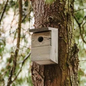 Peckish Everyday Nest Box