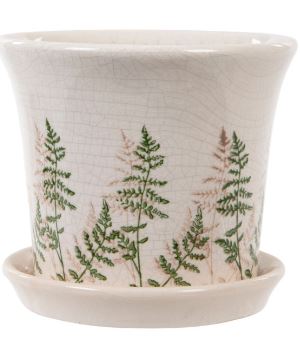 Pot with Tray Fern S