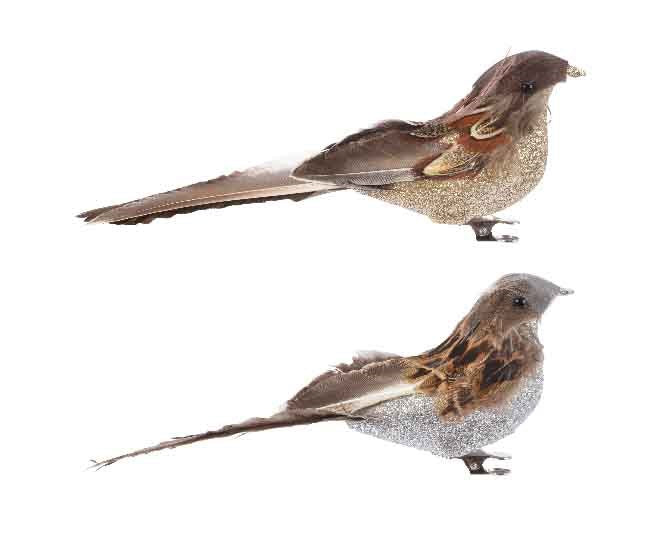 Fthr Bird On Clip 2Col Ass4.5X6.5X17Cm - Christmas - Windyridge Garden Centre