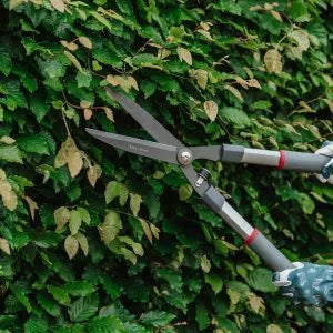 Shears Hedge Traditional