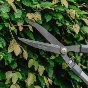 Shears Hedge Traditional