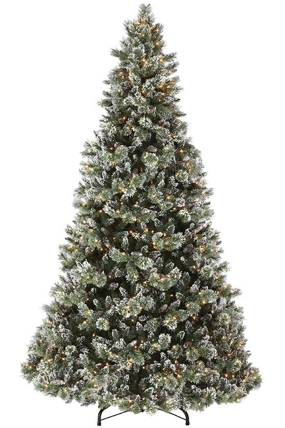 Glittery Bristle Pine 6.5Ft Tree Cones 550 S/White Led - Christmas - Windyridge Garden Centre