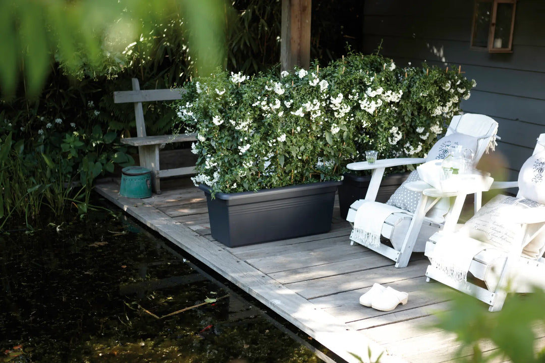 Green Basics Garden XXL Trough 80cm Living Black