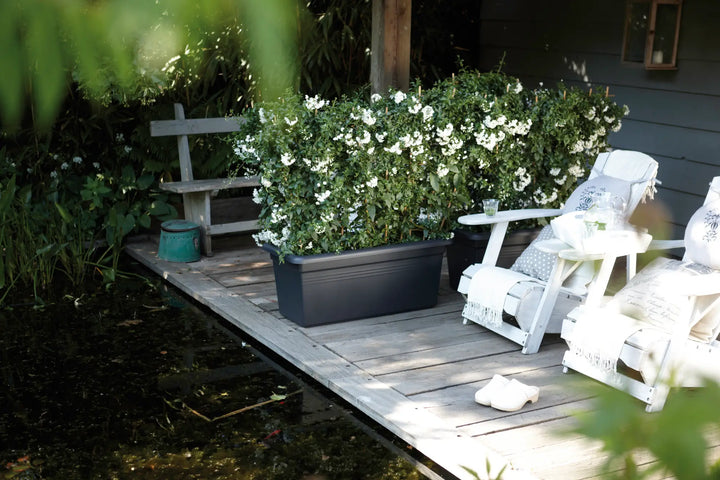 Green Basics Garden XXL Trough 80cm Living Black