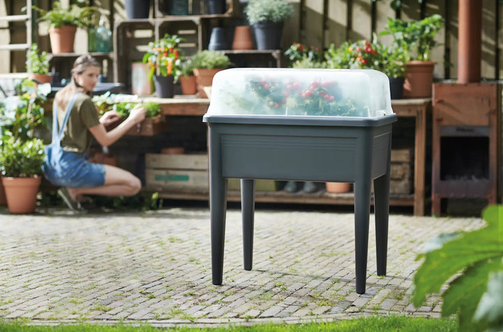 Green Basics Grow House XXL Trough Lid Ø75cm Transparent