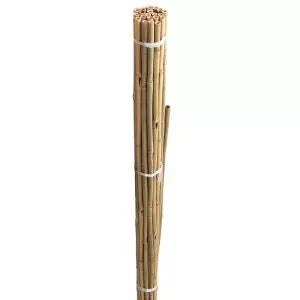 BAMBOO CANES 120cm 20pk