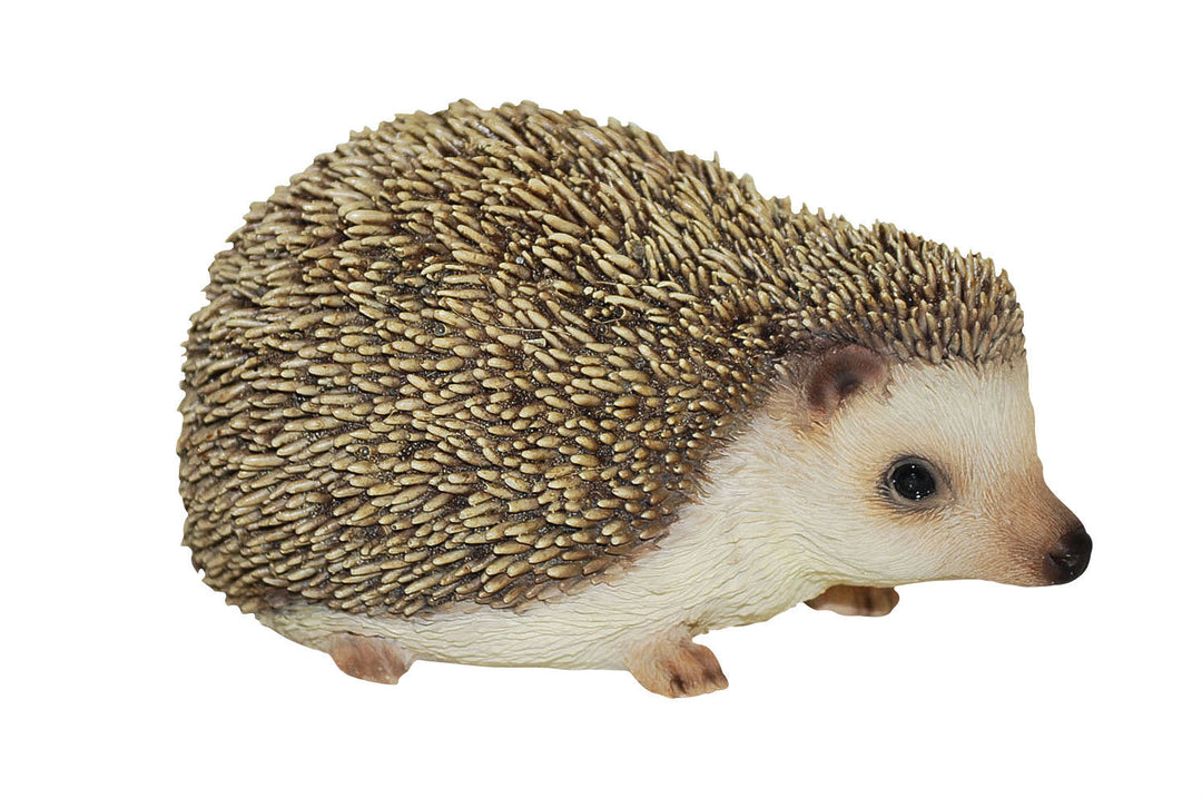 Real Life Hedgehog D