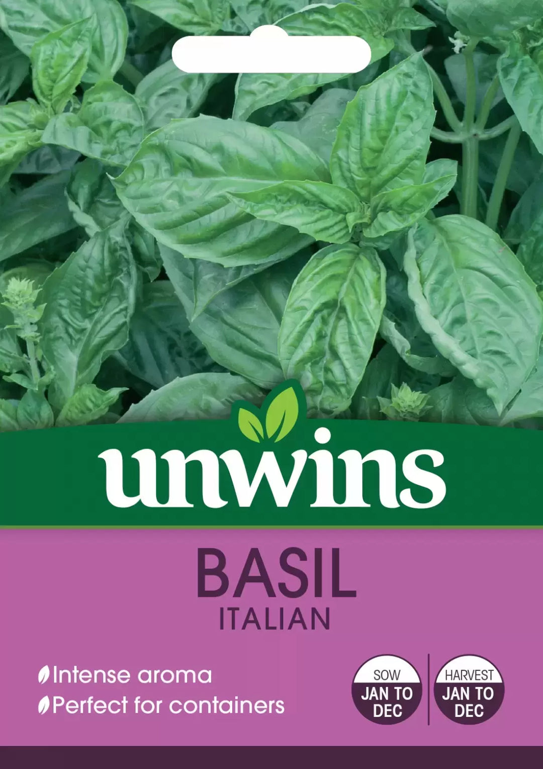 Herb Basil Italian