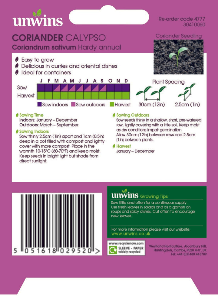Herb Coriander Calypso