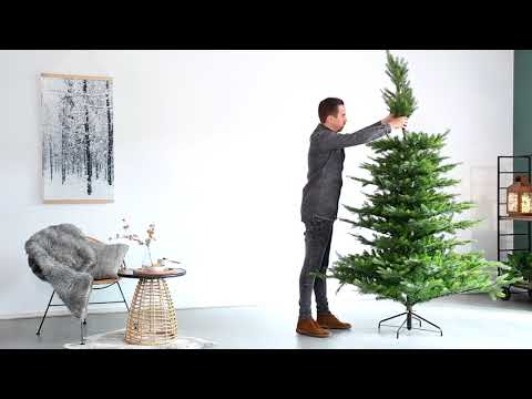 Grandis Slim Fir Green - Christmas - Windyridge Garden Centre