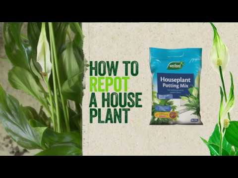 Houseplant Potting Mix (Enriched with Seramis) 20L